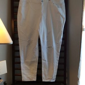 Lane Bryant boyfriend Genius Fit Jeans